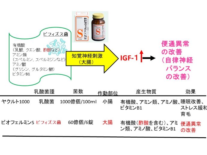 円形脱毛症　病院